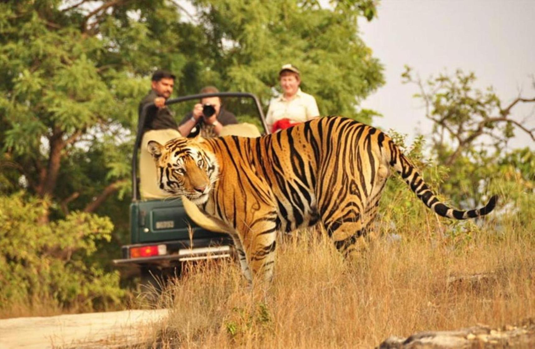 מלון Khilchīpur The Vanashrya Ranthambore מראה חיצוני תמונה